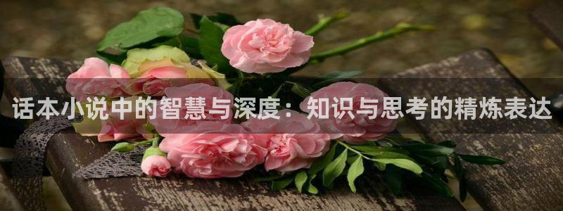 午夜小说你懂的：话本小说中的智慧与深度：知识与思考的精炼表达