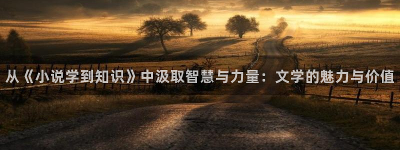 午夜小说 小说：从《小说学到知识》中汲取智慧与力量：文学的魅力与价值