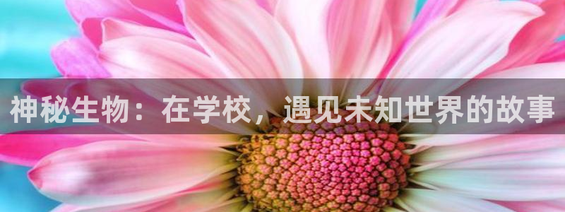 乱论午夜小说：神秘生物：在学校，遇见未知世界的故事