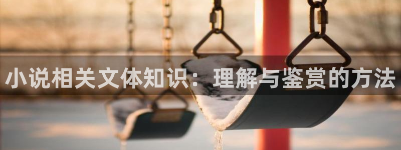 成人午夜小说网：小说相关文体知识：理解与鉴赏的方法