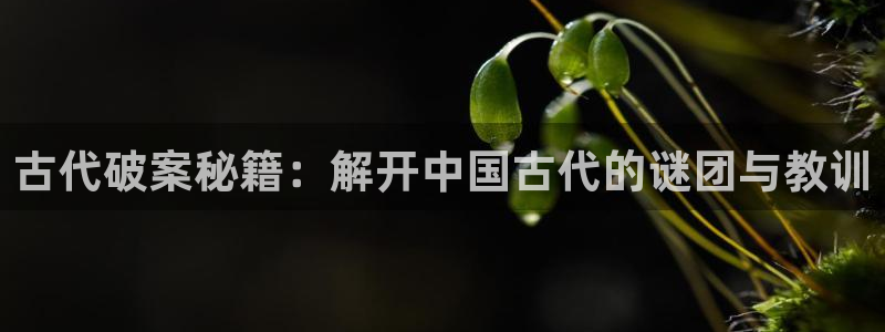 午夜小说小说：古代破案秘籍：解开中国古代的谜团与教训