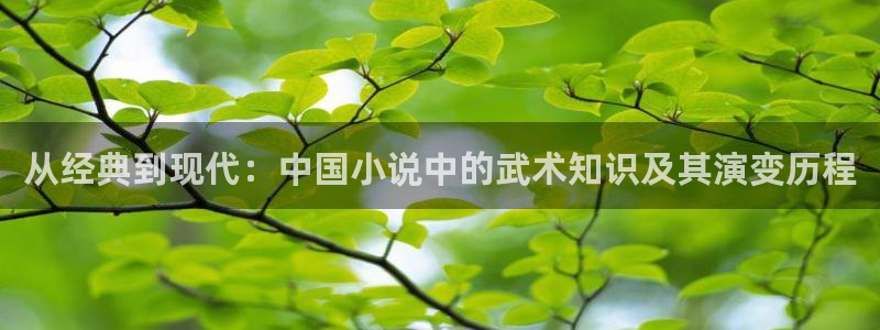 强乱午夜小说：从经典到现代：中国小说中的武术知识及其演变历程